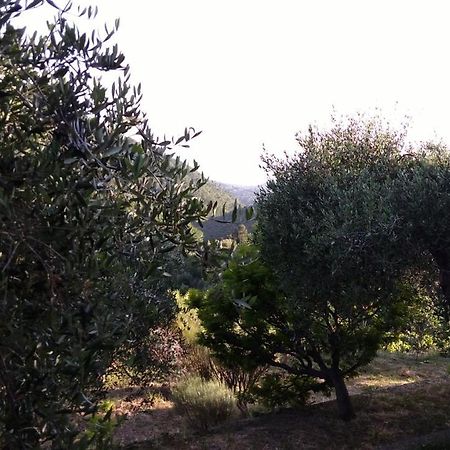 La Porta Del Sole Appartamento Nell'Oliveto Σεμπόργκα Εξωτερικό φωτογραφία